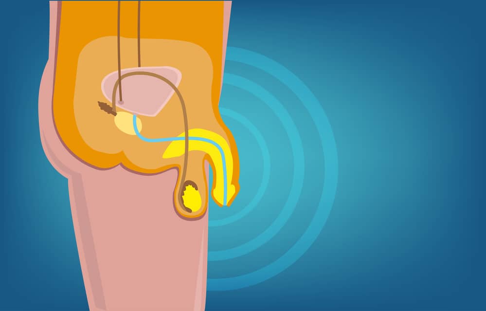 COVID-19 And Erectile Dysfunction What Do Recent Studies Reveal